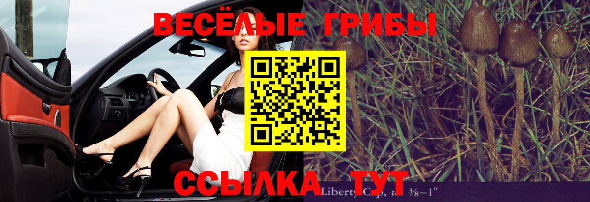 Кунгур  Псилоцибиновые грибы Psilocybe  Вход с VPN 